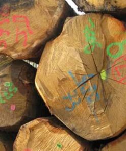 Marcació i senyalització forestal