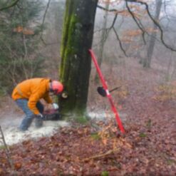 puntal forestal 3