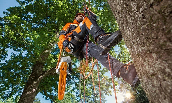 stihl-arborist Tenda per Profesionals Forestals 