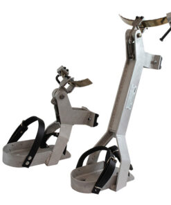 bicicleta palmeres