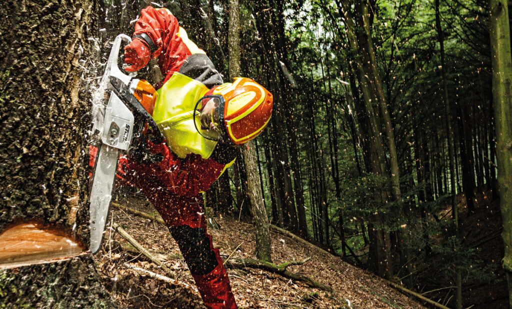 casco-protos-arborist