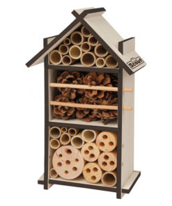 Hotel forestal insectes scout