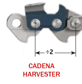 Cadena Harvester
