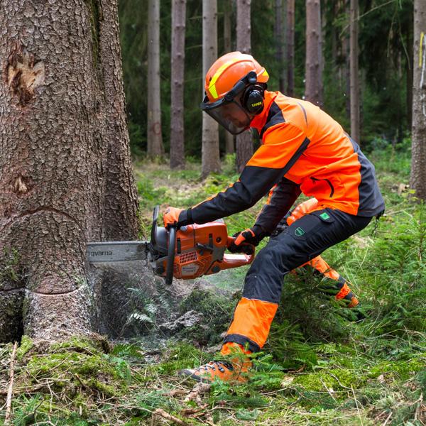 talando_arbol_con_motosierra_ropa_de_trabajo GRÜNHOLZ®: ROPA DE TRABAJO con RENDIMIENTO VERDE Trabajos Forestales 