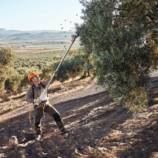 Vareador Stihl SPA 130 con accessorios - Imagen 3