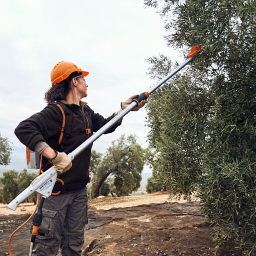 Vareador Stihl SPA 140 con accessorios - Imagen 2