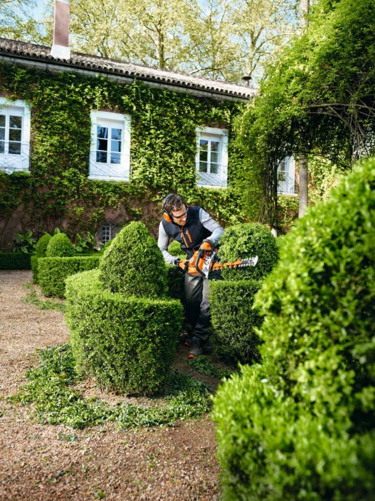 cortasetos-stihl-767x1024 Tipos de Setos: Una guía completa para elegir el mejor seto para cierres