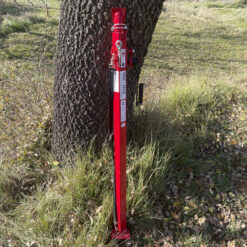 Puntals forestals