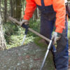 nestle calibre forestal