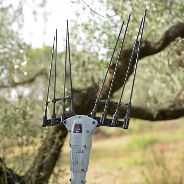 Batollador Arvipo OV 37 - M - Imatge 4